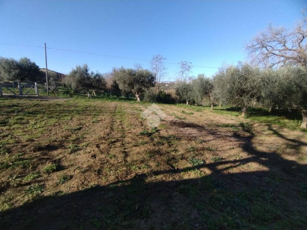Terreno a Cepagatti in via Aurora, 67 - Foto 5