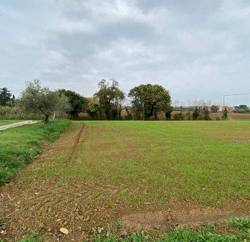 Terreno a Misano adriatico - Foto 3