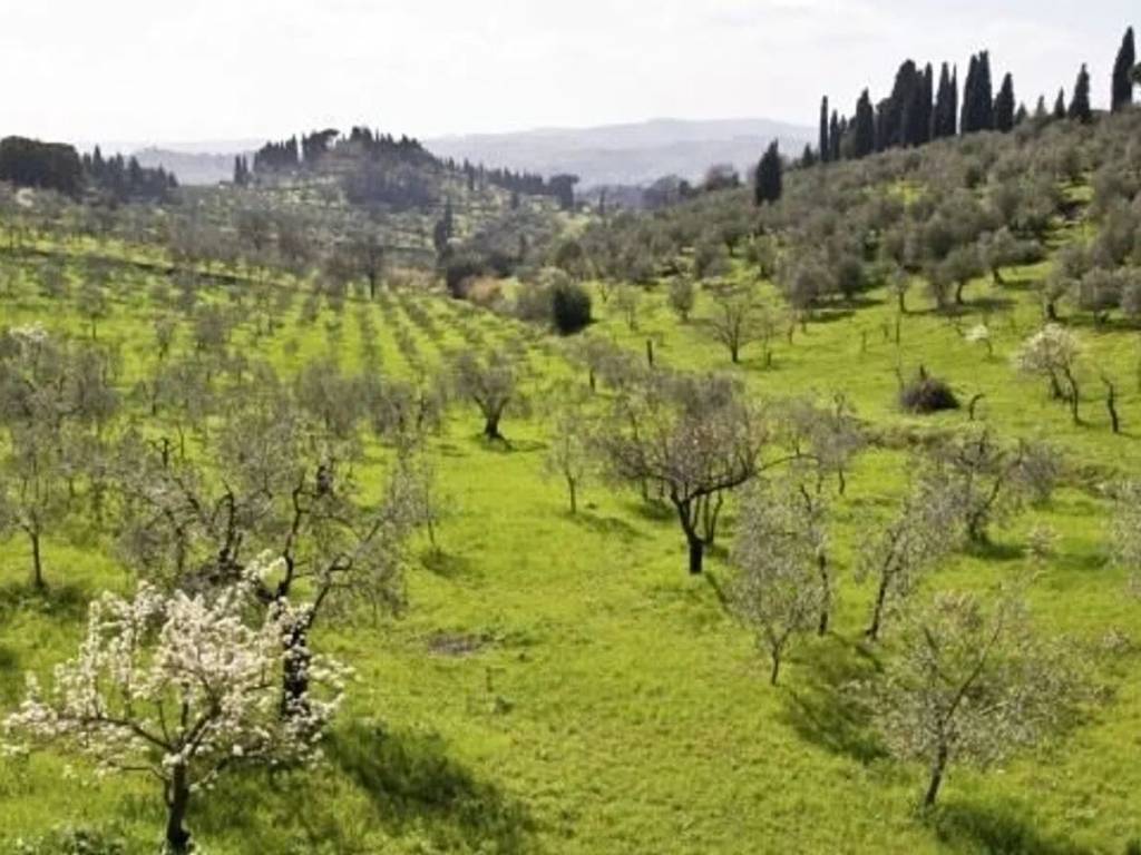 Rustico / casale a Seggiano - Foto 4
