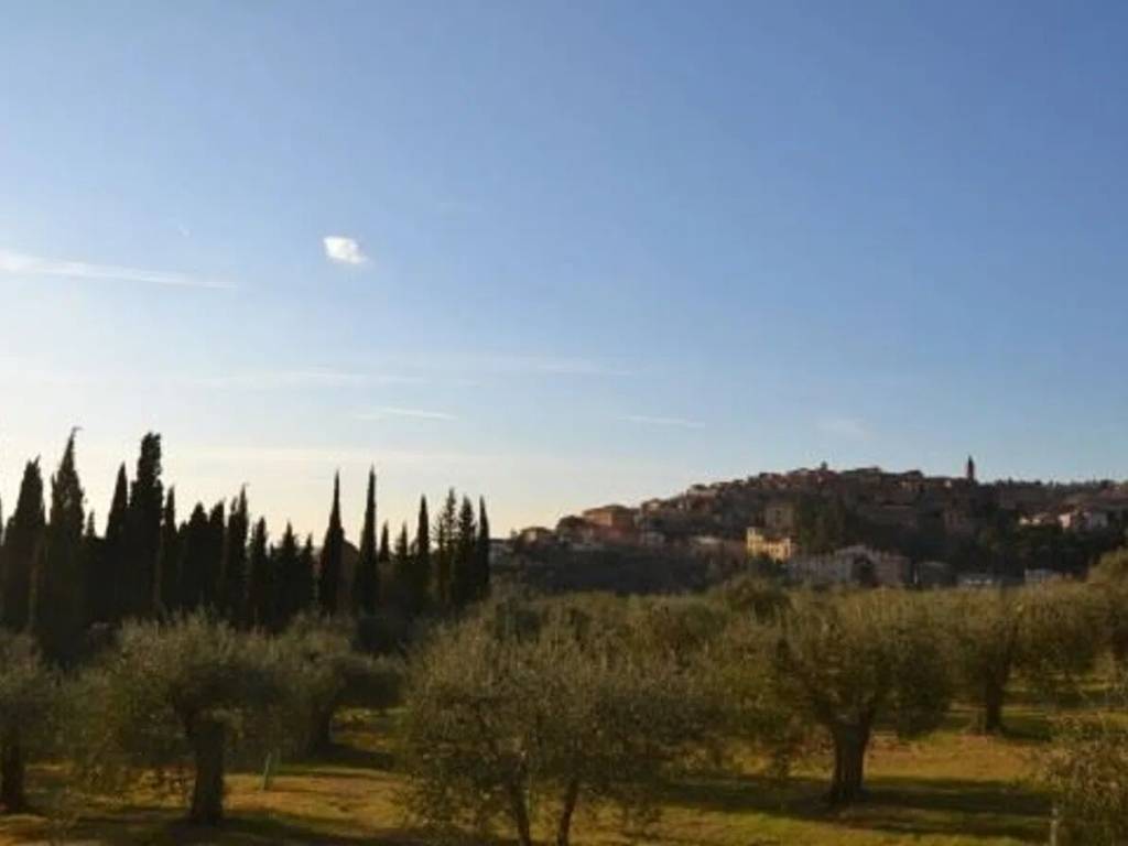 Rustico / casale a Seggiano - Foto 5