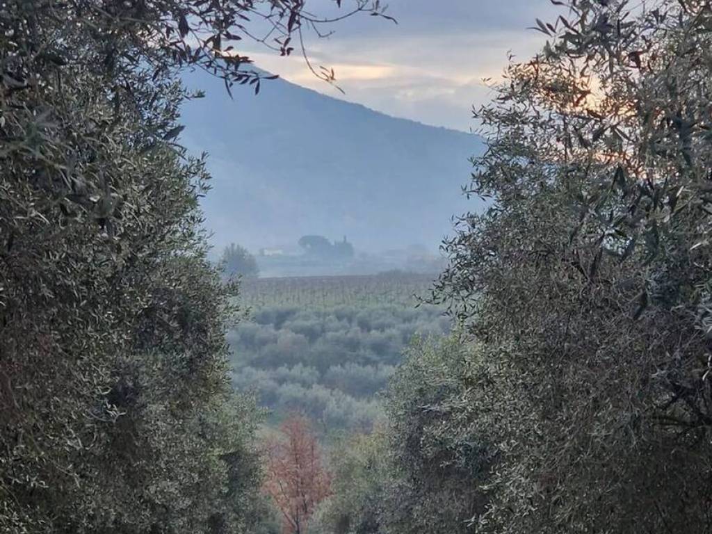 Terreno a Cori in Via Del Carbonaro - Foto 2