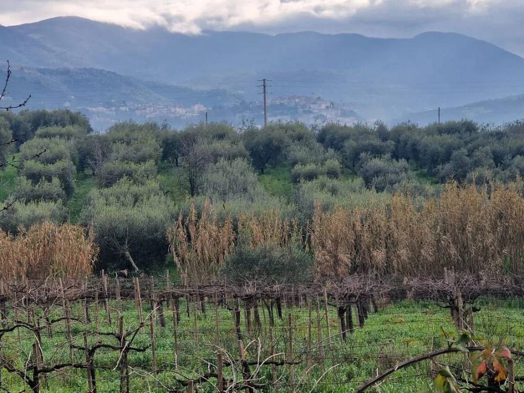 Terreno a Cori in Via Del Carbonaro - Foto 4