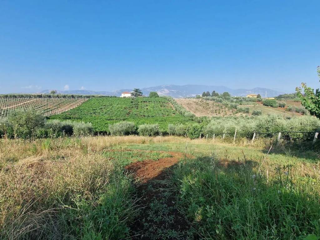 Terreno a Velletri in Via Castel Ginnetti - Foto 2