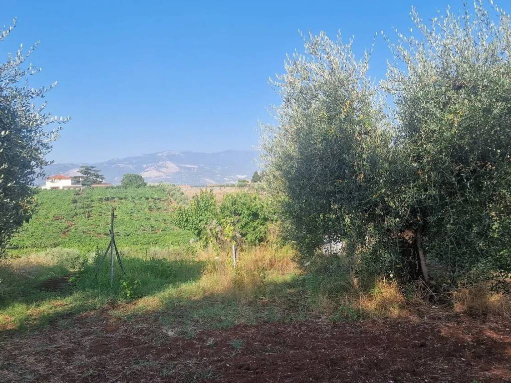 Terreno a Velletri in Via Castel Ginnetti - Foto 3