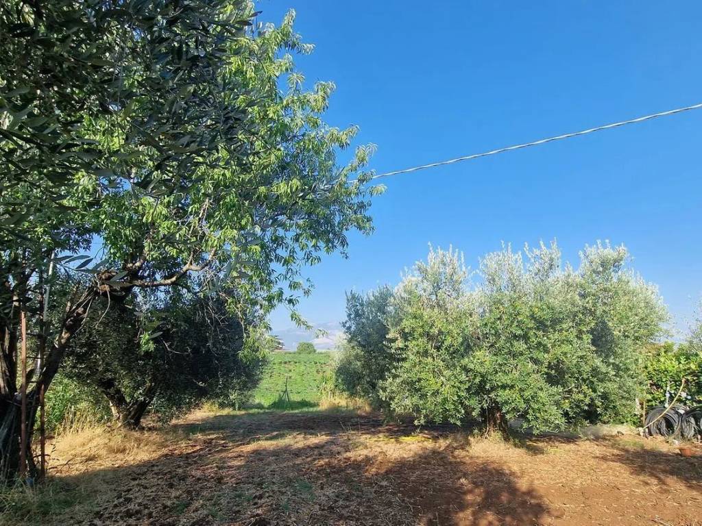 Terreno a Velletri in Via Castel Ginnetti - Foto 4