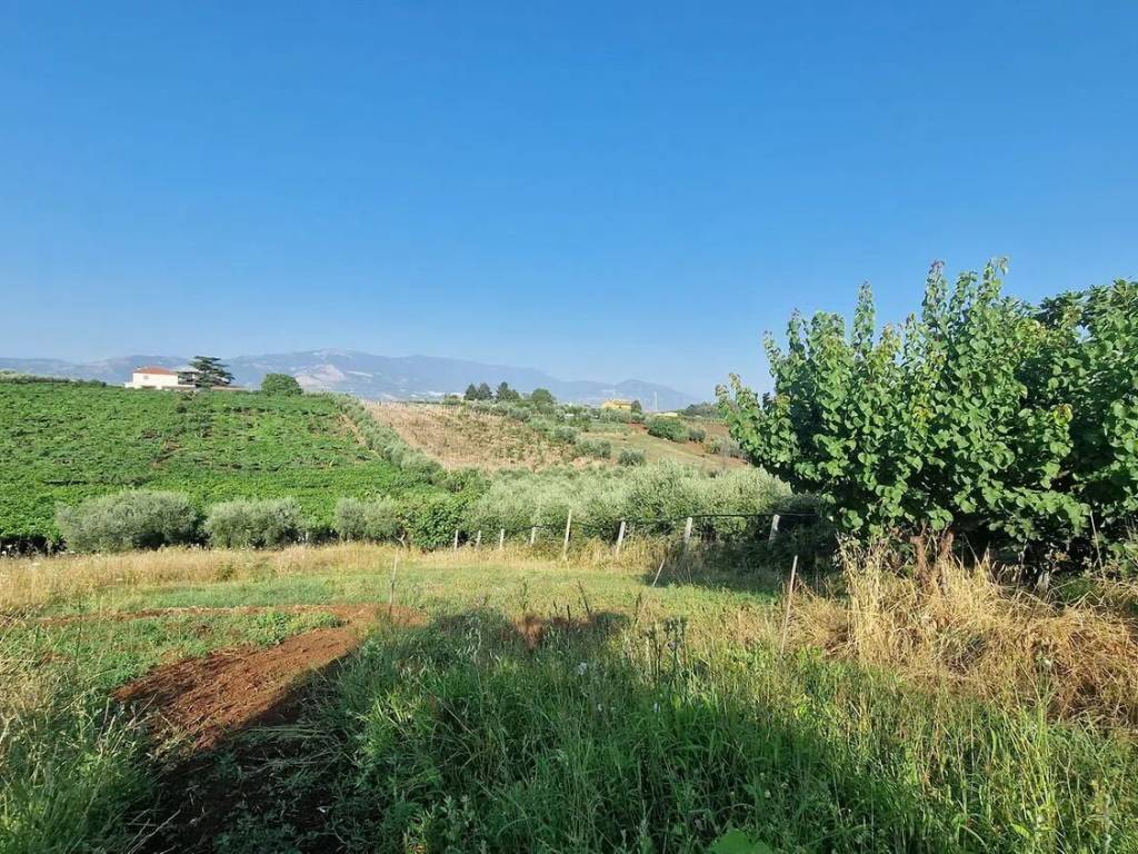 Terreno a Velletri in Via Castel Ginnetti - Foto 5