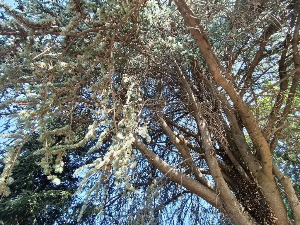 Villa a Velletri in Contrada Comune - Foto 5