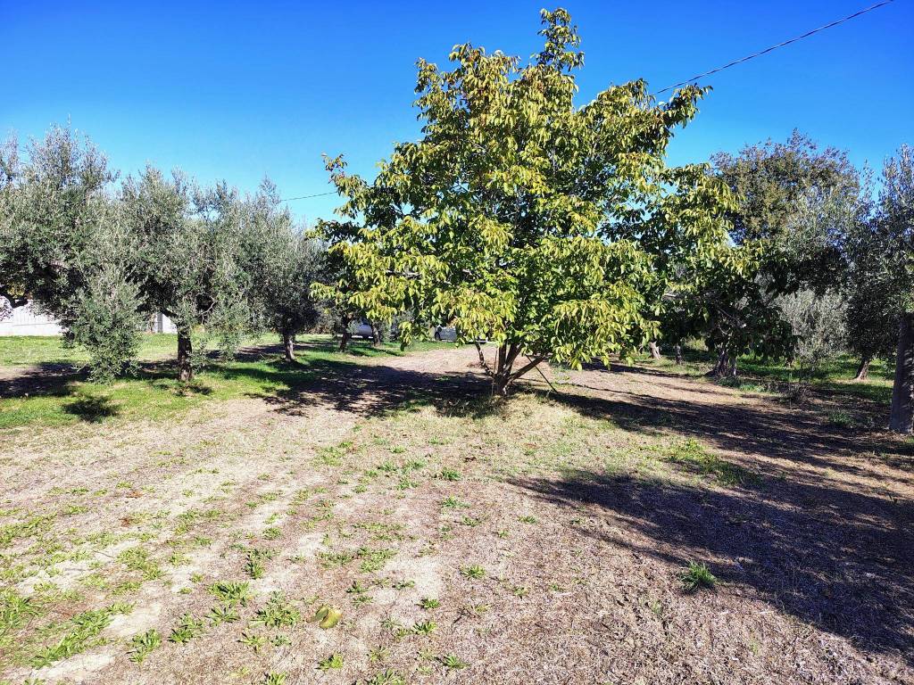 Terreno a Lanciano in Contrada Sant'Onofrio - Foto 2