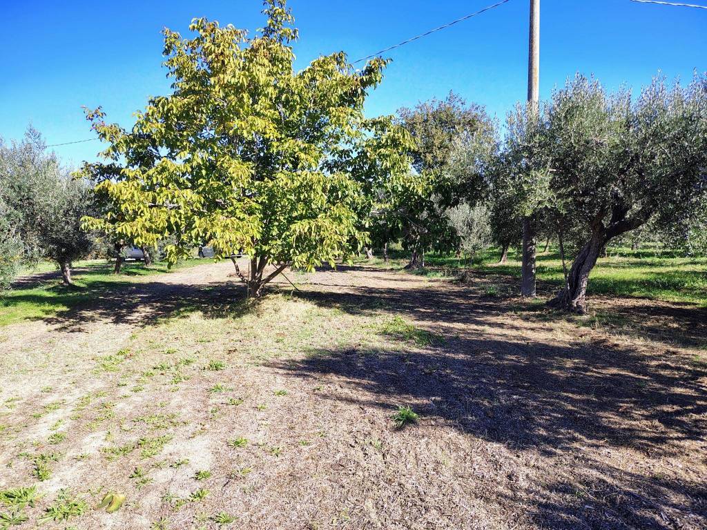 Terreno a Lanciano in Contrada Sant'Onofrio - Foto 3