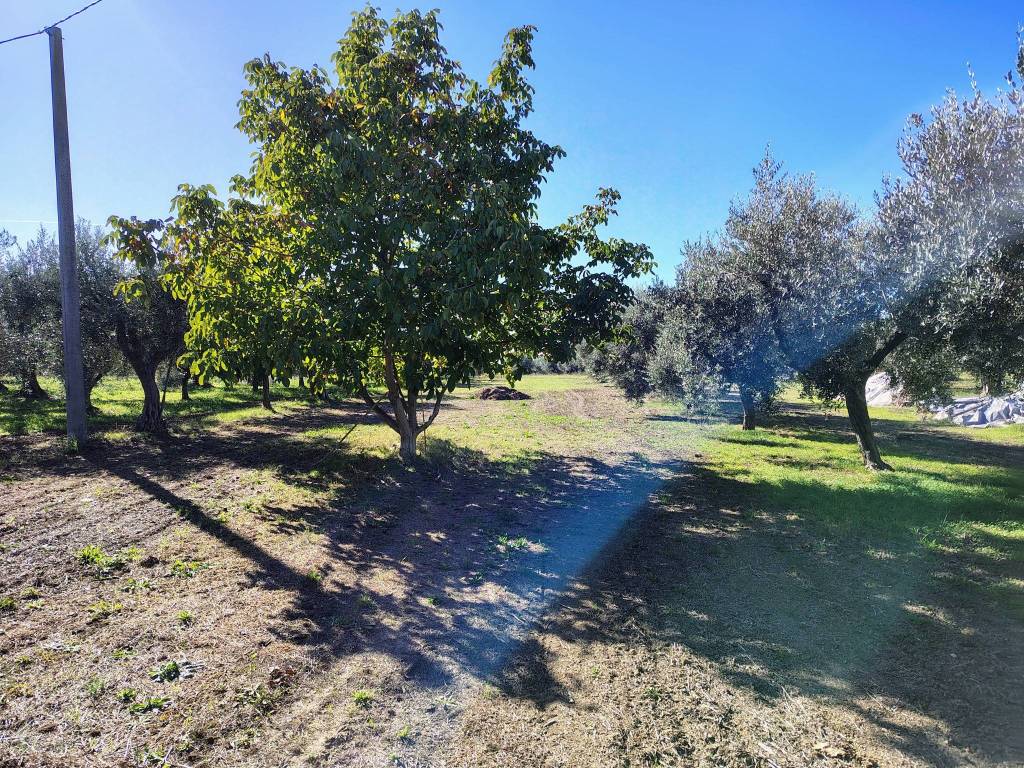 Terreno a Lanciano in Contrada Sant'Onofrio - Foto 4