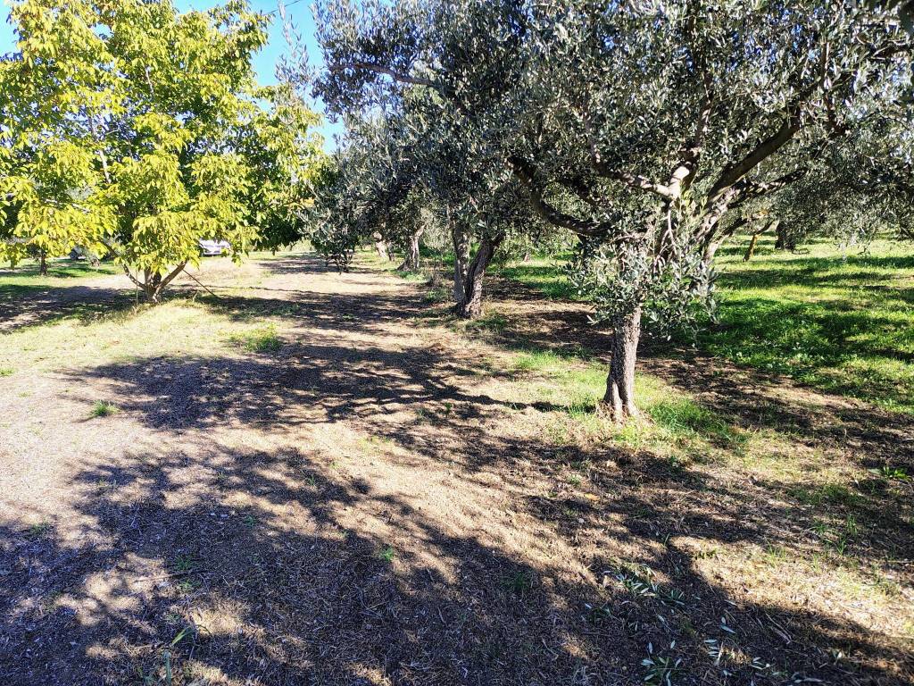 Terreno a Lanciano in Contrada Sant'Onofrio - Foto 5