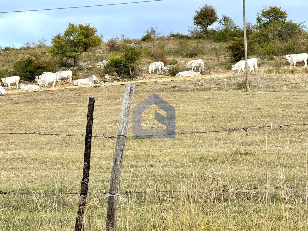 Rustico / casale a Agnone - Foto 4