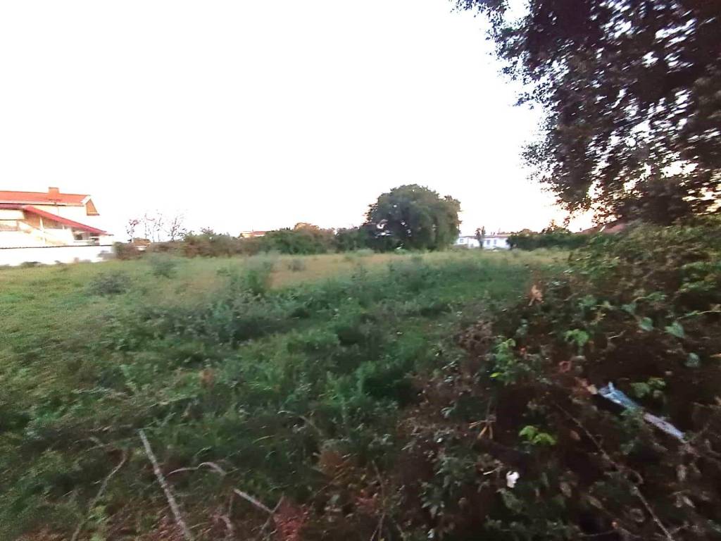 Terreno a Nettuno in via dei zucchetti - Foto 2