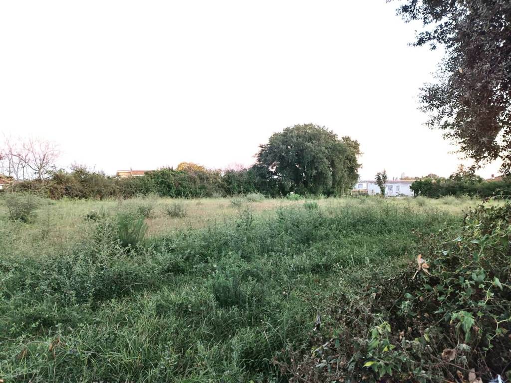 Terreno a Nettuno in via dei zucchetti - Foto 3