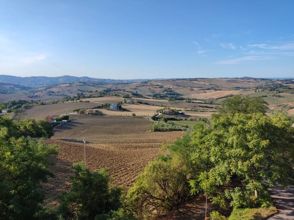 Casa indipendente a Terre roveresche in orciano - Foto 4