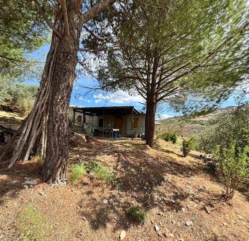 Rustico / casale a Caccamo in Via Beato Liccio - Foto 2