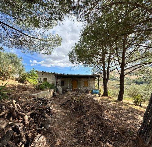 Rustico / casale a Caccamo in Via Beato Liccio - Foto 4