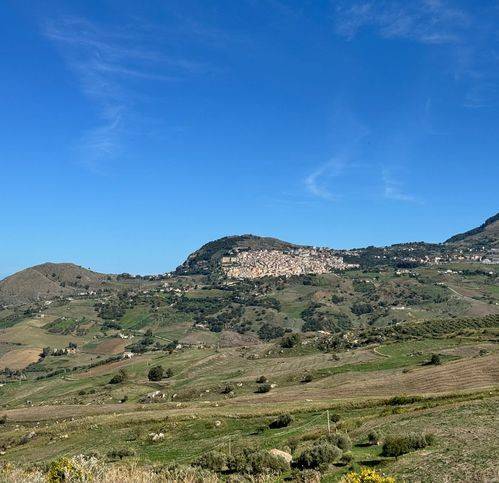 Villa a Caccamo in Contrada Ginestra - Foto 4