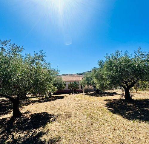 Villa a Caccamo in San Giovanni 2 - Foto 3