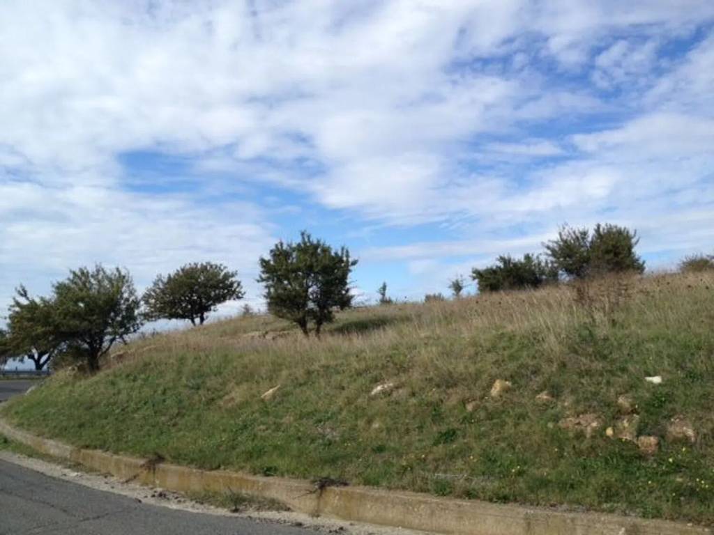 Terreno a Allumiere in Località Poggio Granarolo No Number - Foto 2