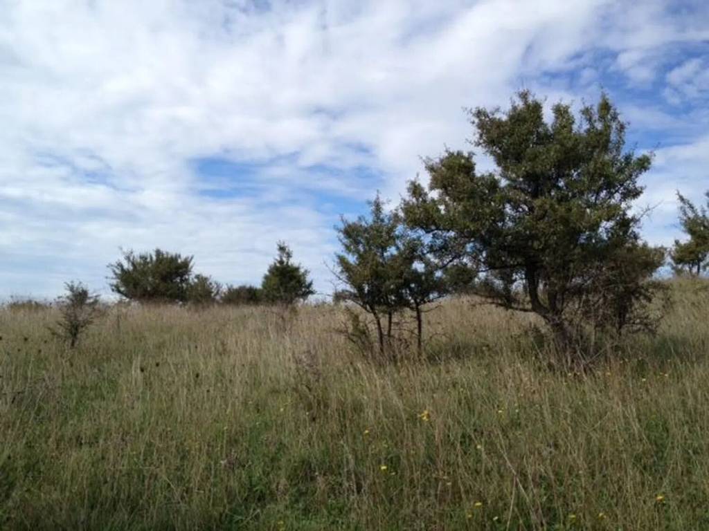 Terreno a Allumiere in Località Poggio Granarolo No Number - Foto 3