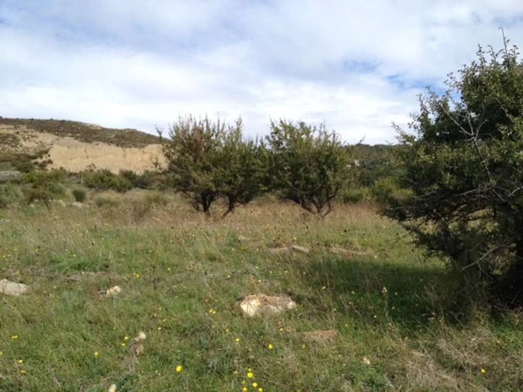 Terreno a Allumiere in Località Poggio Granarolo No Number - Foto 4