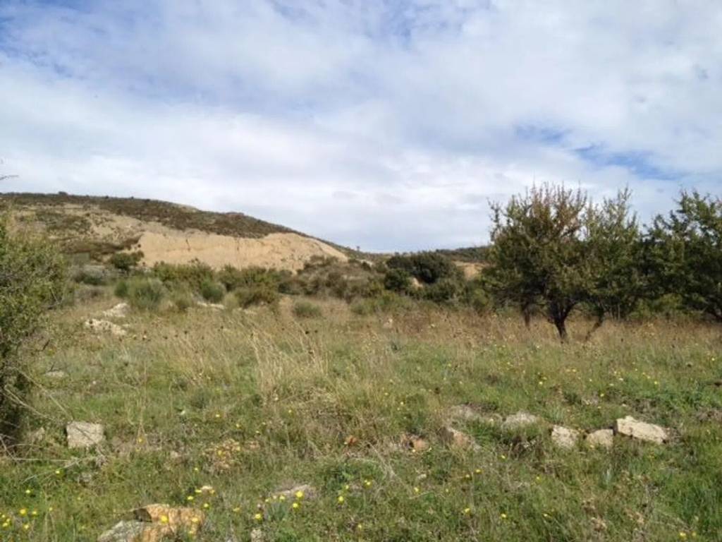 Terreno a Allumiere in Località Poggio Granarolo No Number - Foto 5