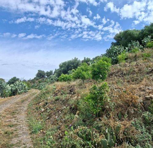 Terreno a Belpasso in Contrada Milicucco - Foto 5