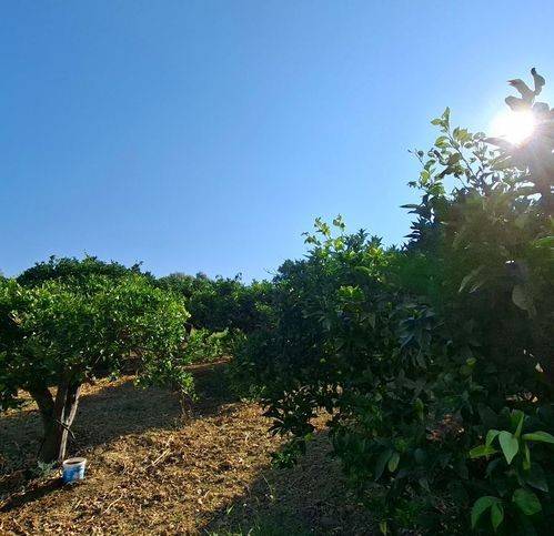 Terreno a Belpasso in Vasadonna - Foto 4