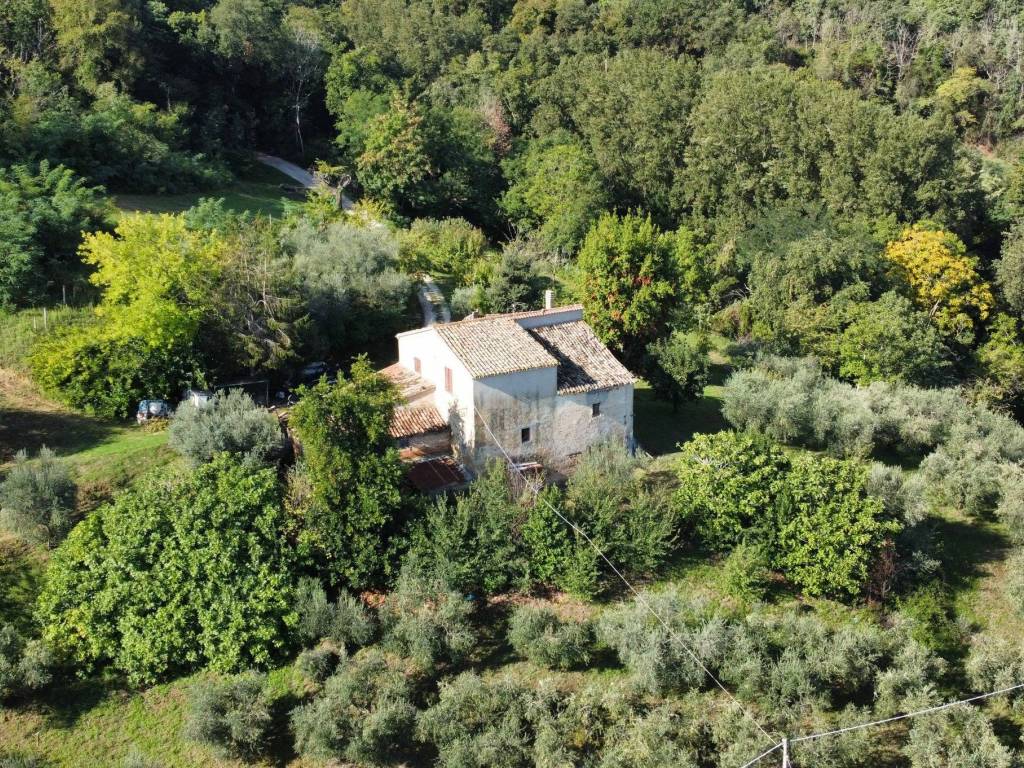 Rustico / casale a Mombaroccio in mombaroccio - Foto 2