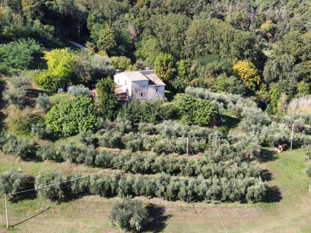 Rustico / casale a Mombaroccio in mombaroccio - Foto 3