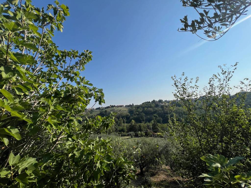 Rustico / casale a Mombaroccio in mombaroccio - Foto 5