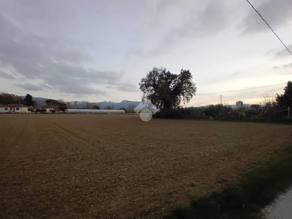 Terreno a Spoleto in frazione frazione protte, 1 - Foto 2