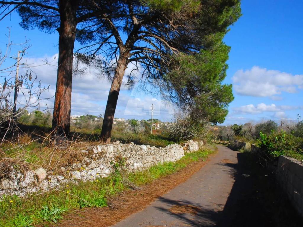 Terreno a Specchia in Strada Comunale Serra Chiusa - Foto 2