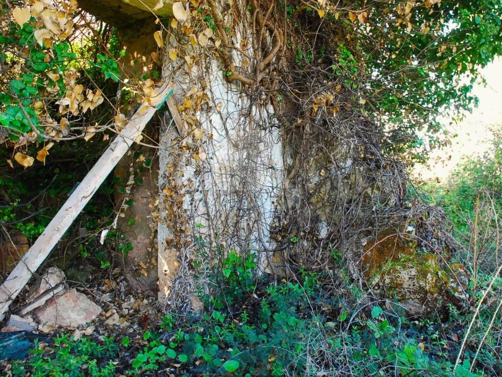 Terreno a Specchia in Strada Comunale Serra Chiusa - Foto 3