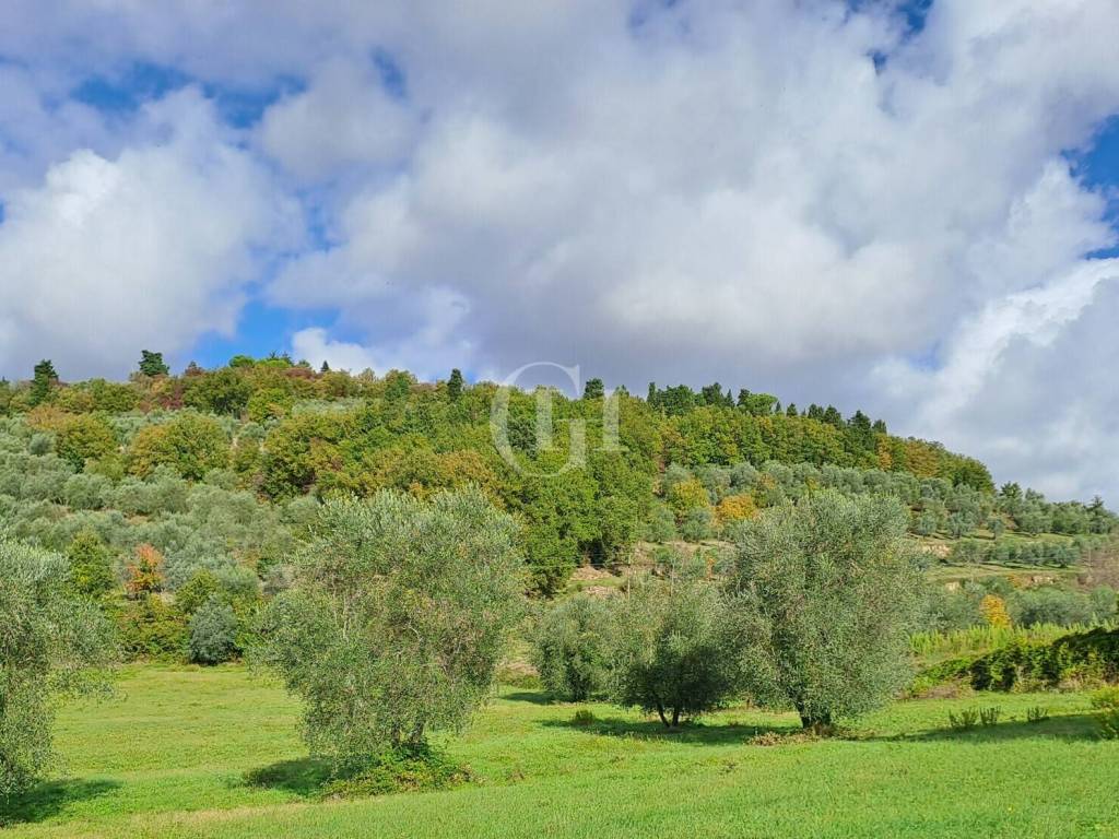 Villa a Riccia in Via Comunale di Fontisterni - Foto 5