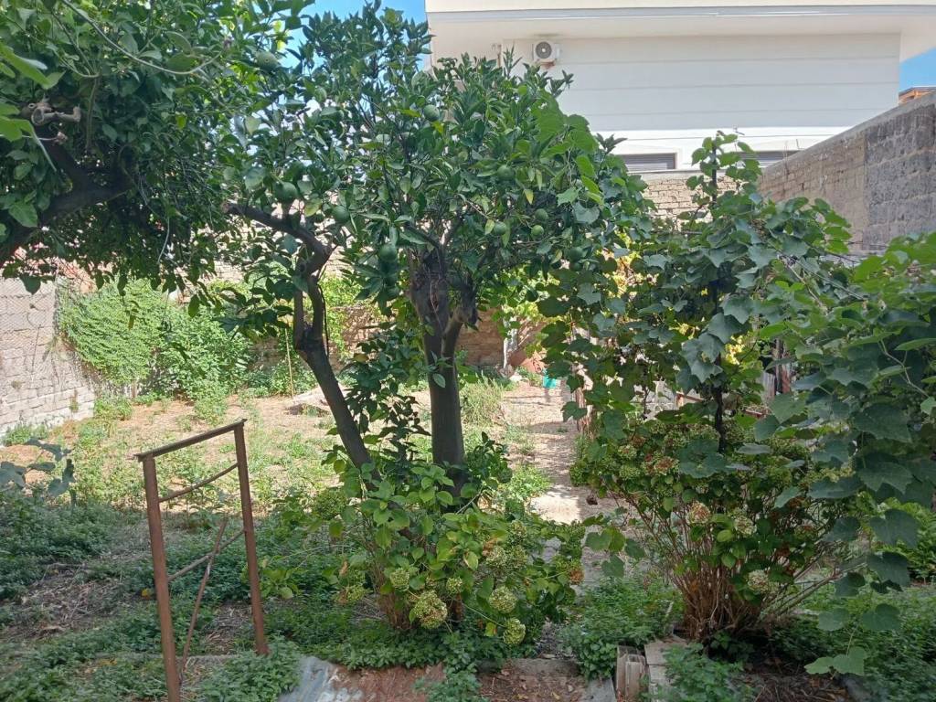 Palazzo / stabile a Casapulla in Via I Maggio, 13 - Foto 3