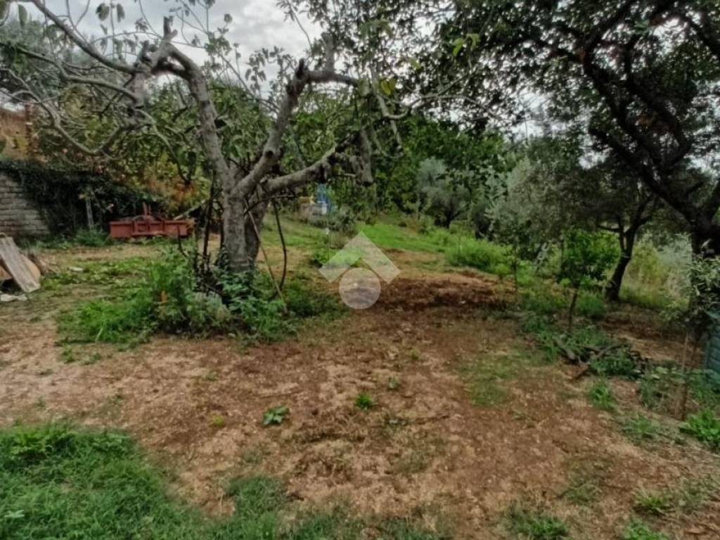 Villa a Olevano romano in Contrada cerreto - Foto 5