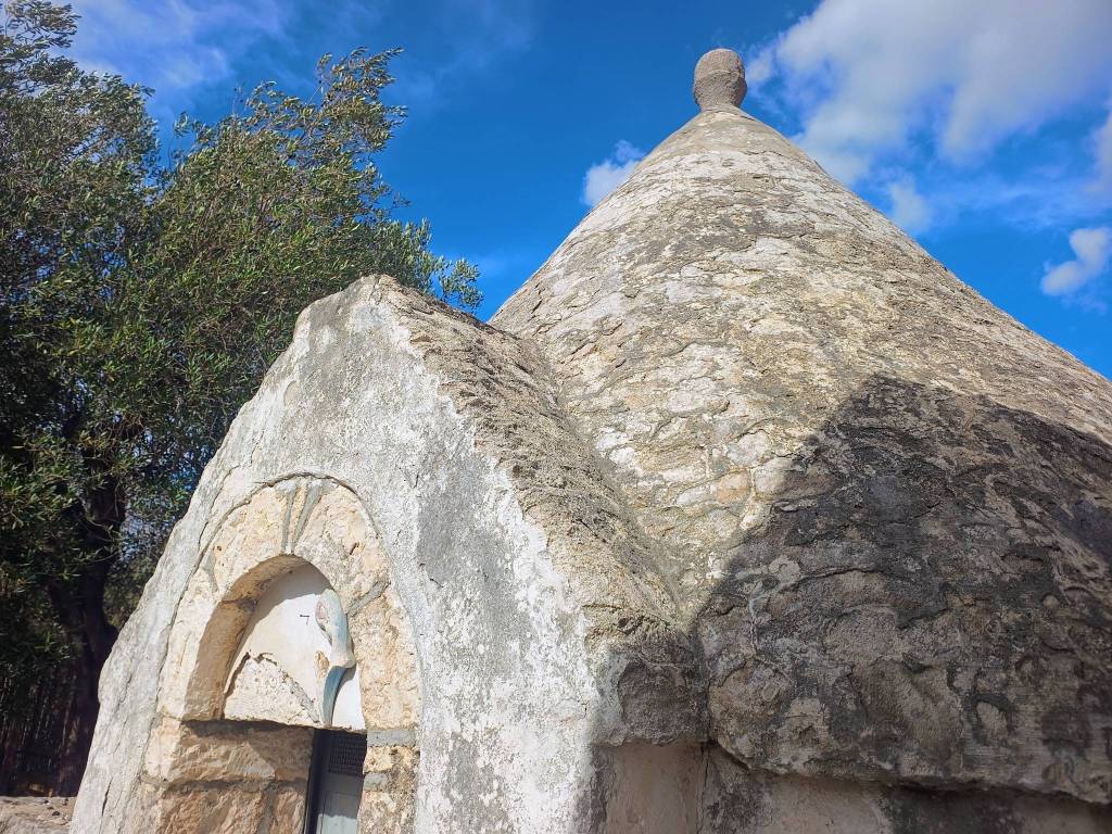 Rustico / casale a Conversano in Strada Comunale Cordone - Foto 5