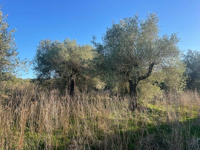 Terreno a Sorso in SP25 - Foto 3