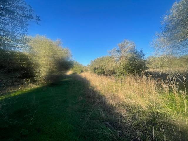 Terreno a Sorso in SP25 - Foto 4