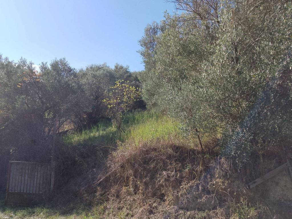 Terreno a Castrolibero in Feudo - Foto 4