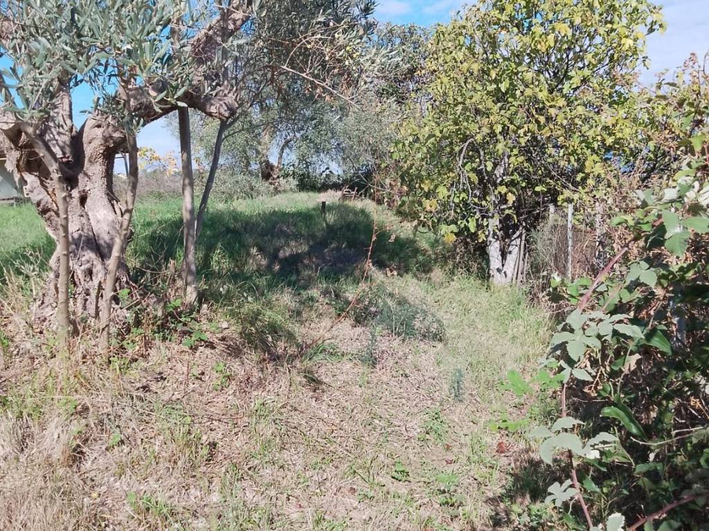 Terreno a Castrolibero in Feudo - Foto 5