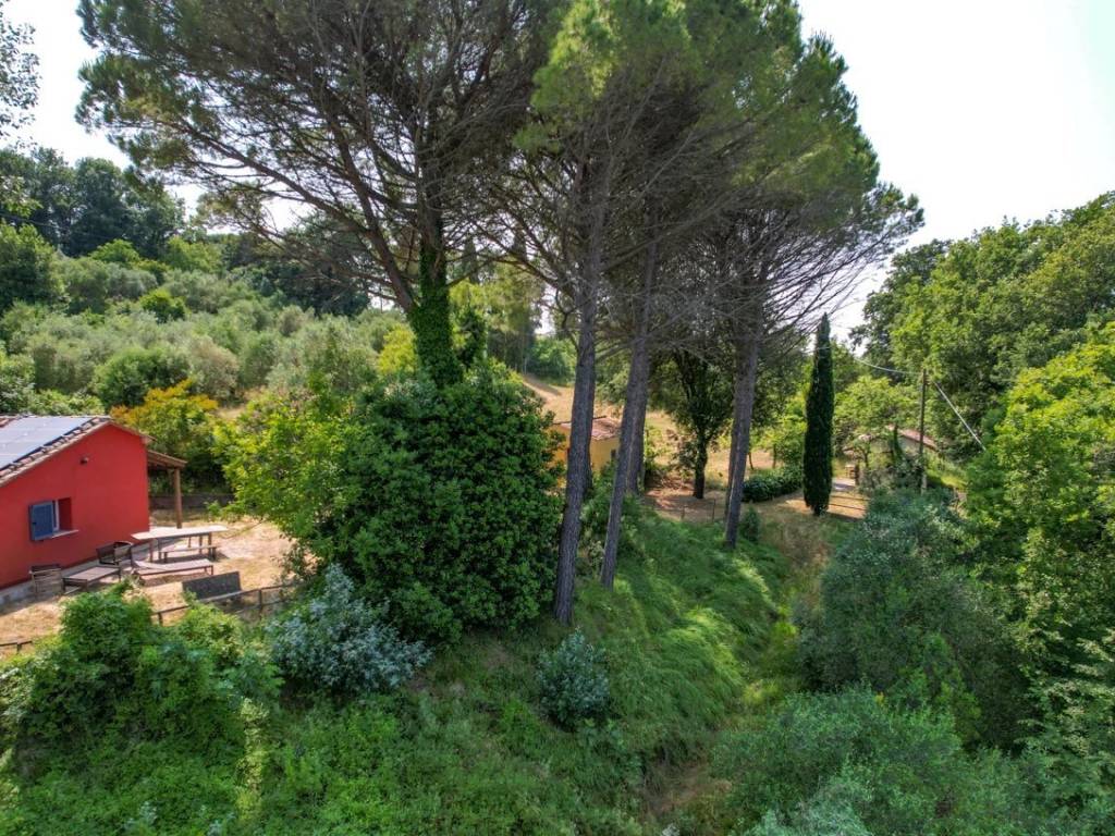 Villa a Montescudaio - Foto 3