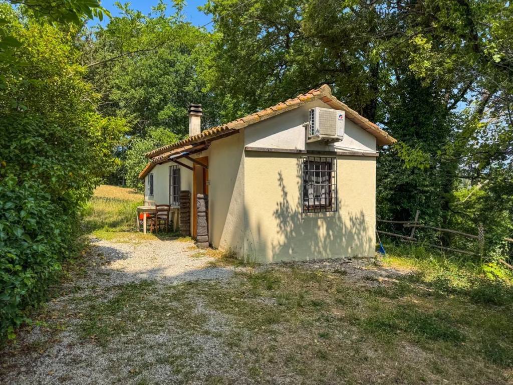 Villa a Montescudaio - Foto 5