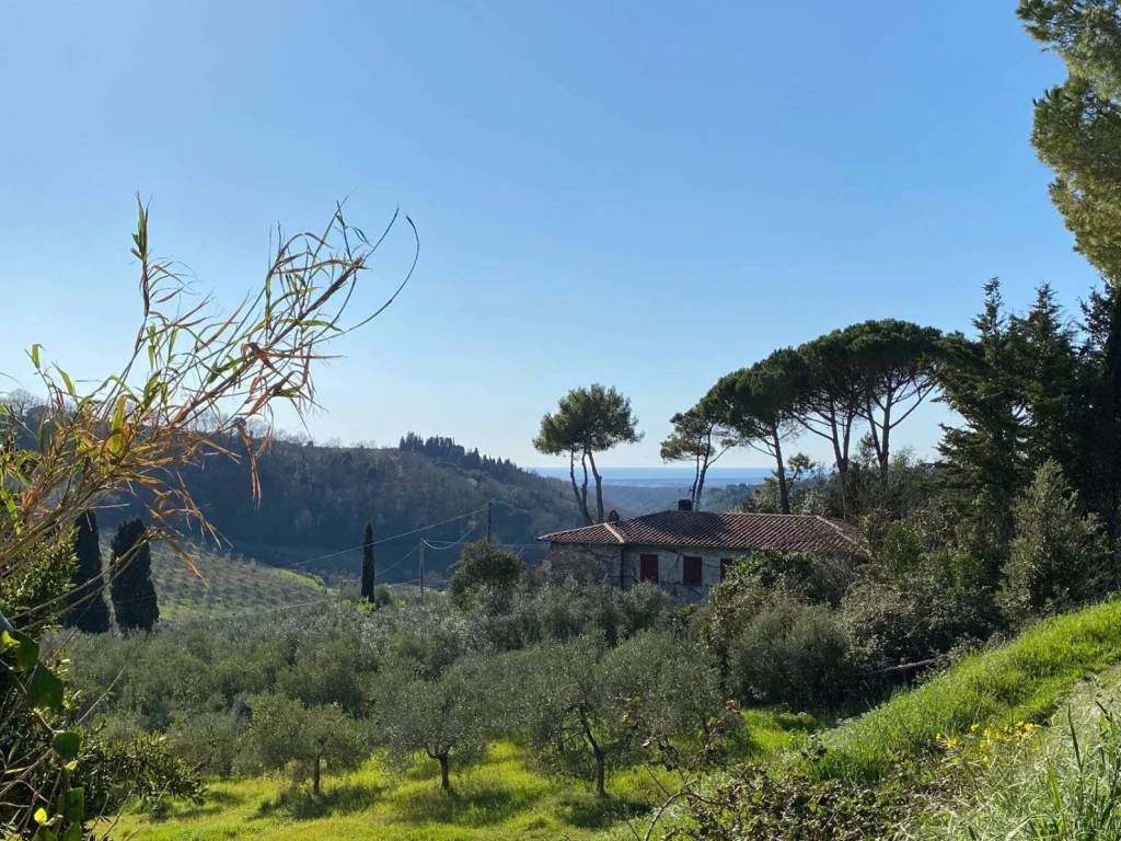 Villa a Montescudaio - Foto 2