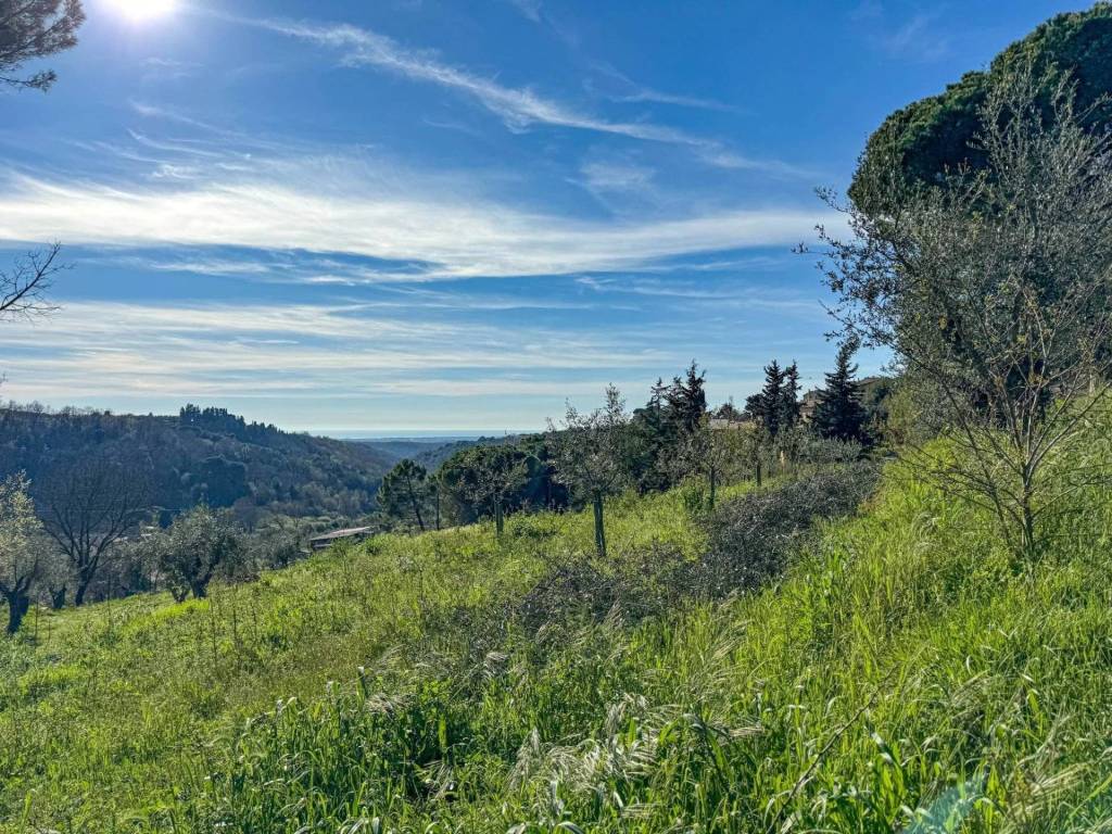 Villa a Montescudaio - Foto 3