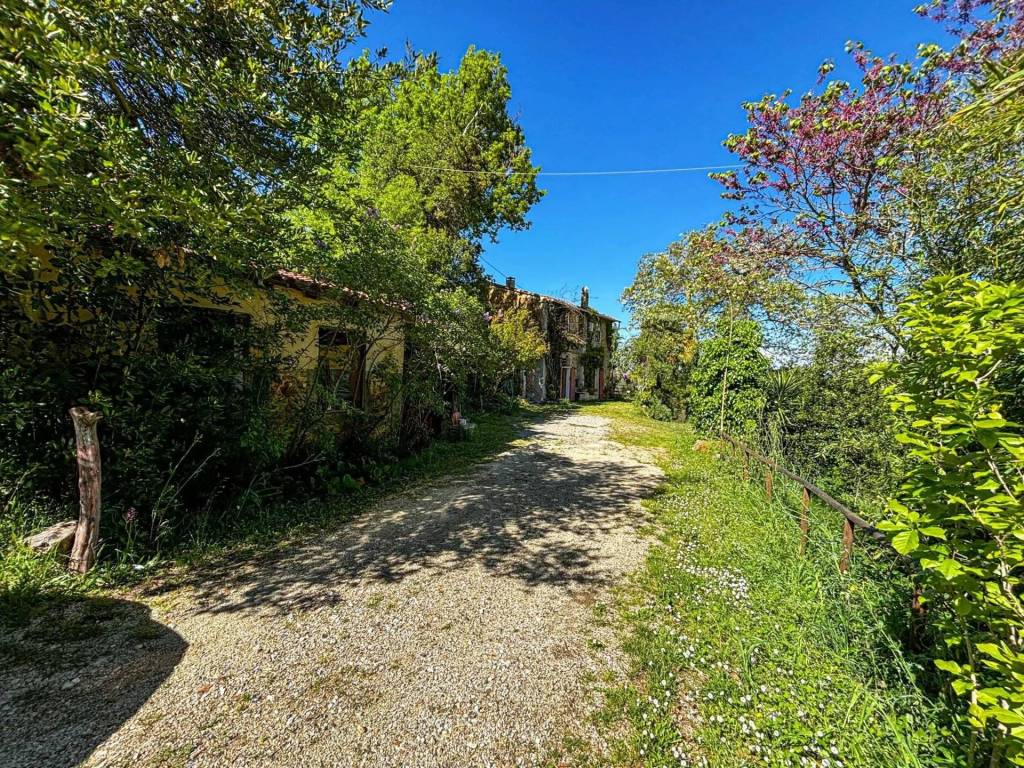 Rustico / casale a Chianni - Foto 4