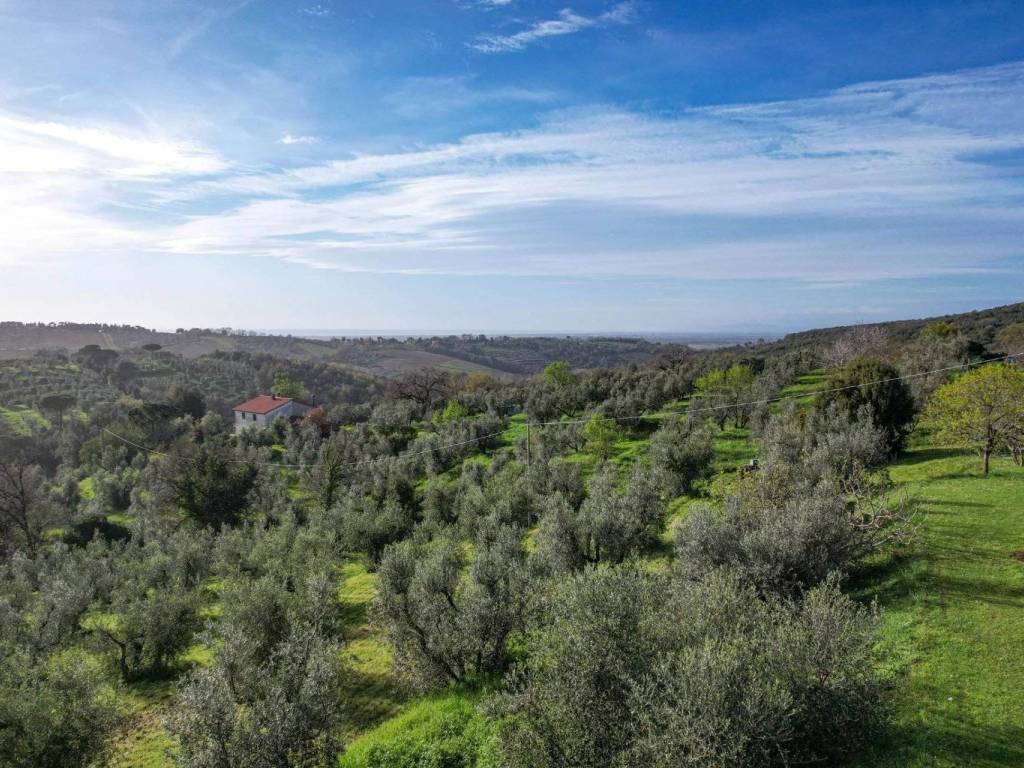 Rustico / casale a Castagneto carducci - Foto 3