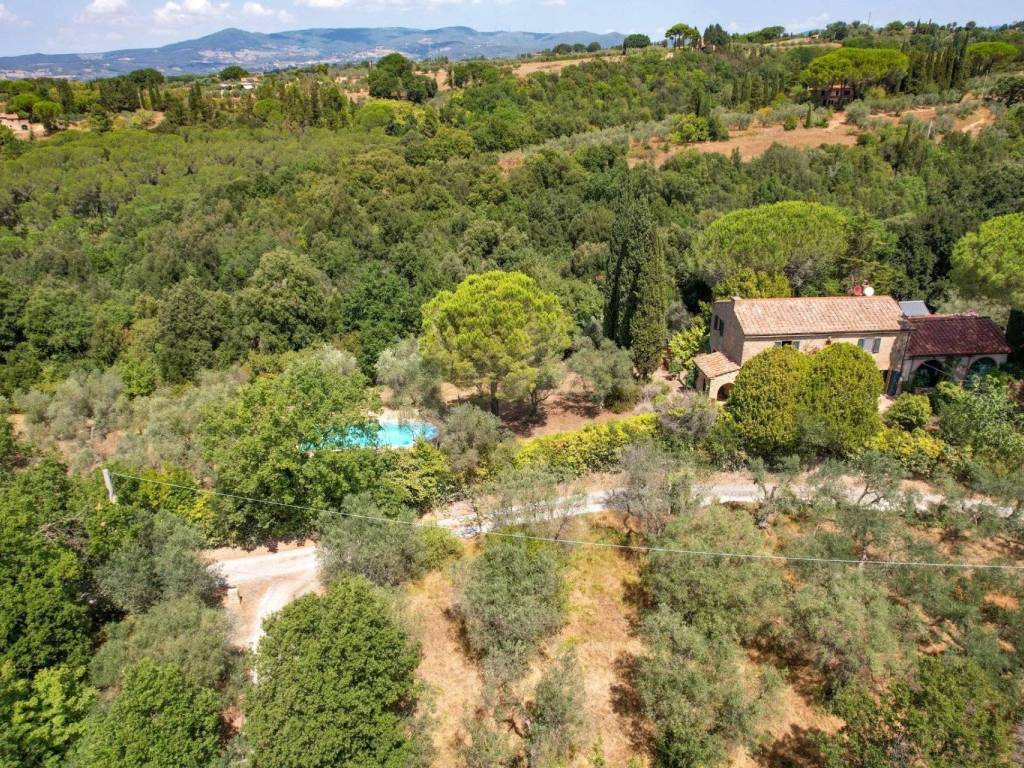 Rustico / casale a Guardistallo - Foto 3